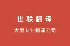 (lin)g˾^죺2017ȫ˹ܷgl(f)չM